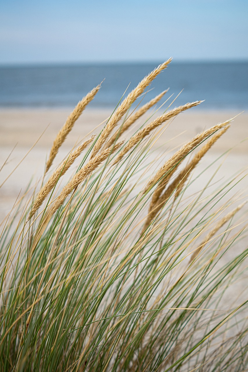 Durban beachfront, KwaZulu‑Natal